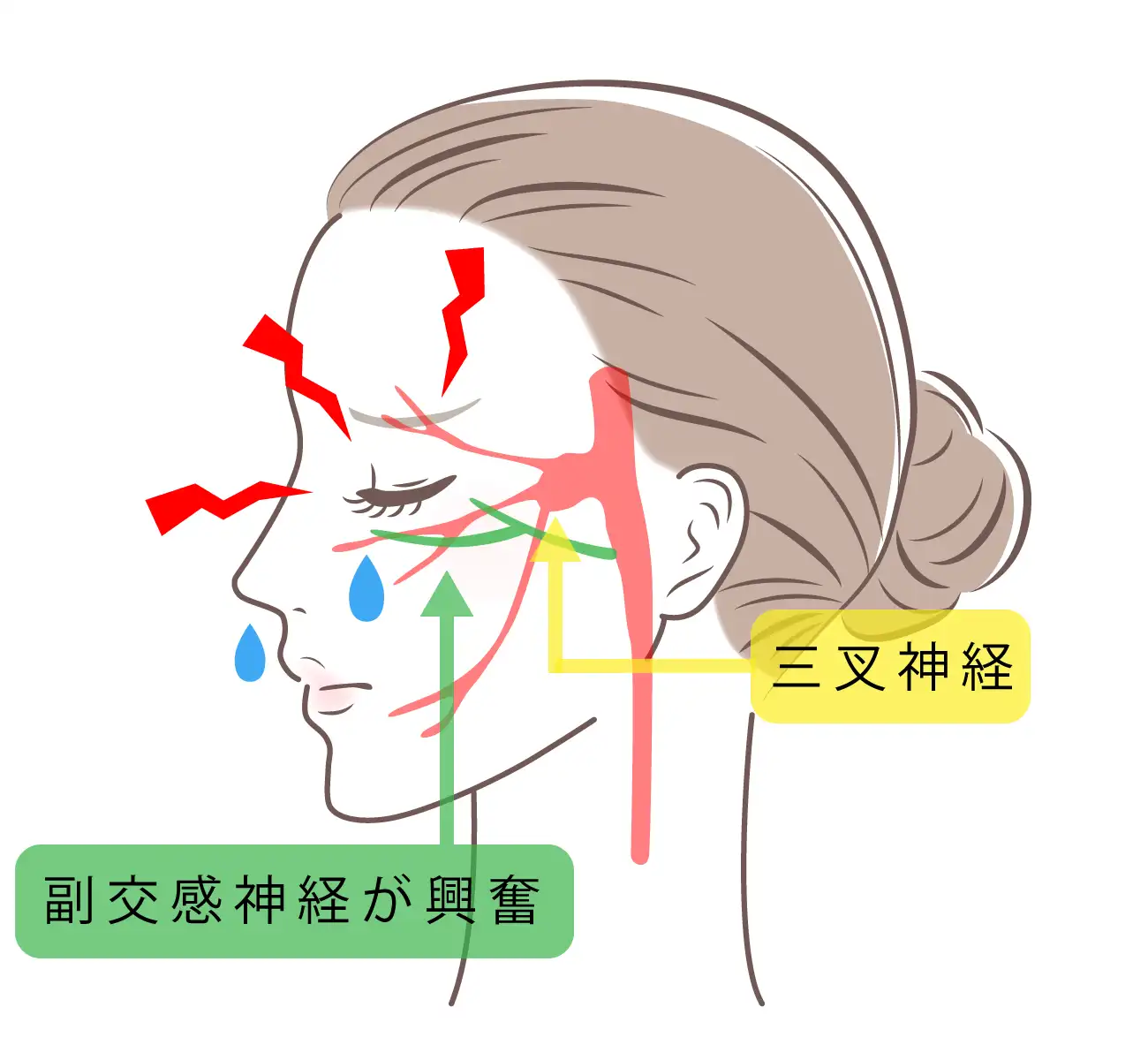 目黒区頭痛外来